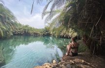 Private Day Trip to Kikuletwa Hot Springs in Kilimanjaro