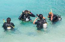 Fujairah: PADI Basic Scuba Diver Course