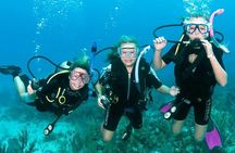 Fujairah: PADI Basic Scuba Diver Course