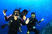 Fujairah: PADI Basic Scuba Diver Course