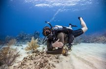 Fujairah: PADI Open Water Diver Course 