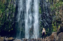 Private Day Trip to Materuni Waterfall and Coffee Tour 