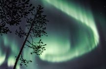 Aurora Hunting Photo Tour from Rovaniemi with Pickup