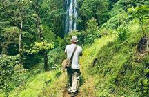 Private Day Trip to Materuni Waterfall and Coffee Tour 