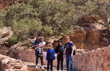 Private Half-Day Tour of Petra with Lunch