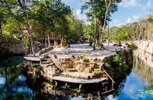 Cenotes Casa Tortuga Tulum 