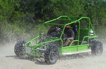 Taino Bay Shore Excursion - 2 person Buggy Tour