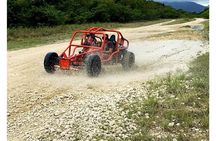 Taino Bay Shore Excursion - 2 person Buggy Tour