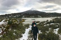 Winter: Tierra del Fuego National Park Trekking and Canoeing in Lapataia Bay