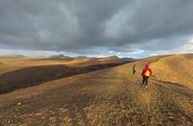 Trekking in the Volcanoes Natural Park in a small group