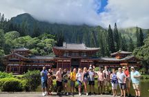 Temple and Waterfall Circle Island  Tour