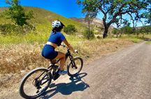 Cheeseboro Fire Road Loop Electric Mountain Biking Tour