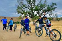 Cheeseboro Fire Road Loop Electric Mountain Biking Tour