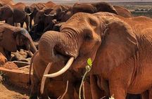4 Days Safari Amboseli, Tsavo West and Tsavo East