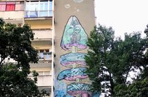 Private Belgrade Street Art and Adventures Walking Tour