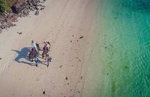 Spectacular East Tour of Mauritius with Horse Riding at the Seaside & Lunch