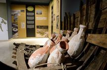 Olive Oil Guided Tasting and History in Pula