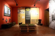Olive Oil Guided Tasting and History in Pula