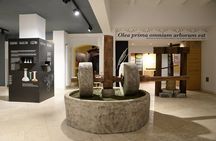Olive Oil Guided Tasting and History in Pula