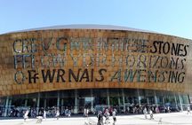 Cardiff Bay Private Guided Walking Tour 