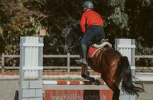 Equestrian Experience with Horses from Marmaris