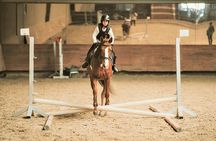Equestrian Experience with Horses from Marmaris