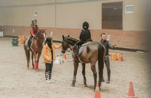 Equestrian Experience with Horses from Marmaris