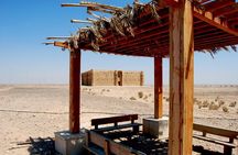 Best of Desert Castles Private Full-Day Tour