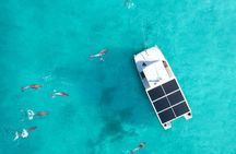 Biologist Owned & Operated: Dolphin Watching & Guided Snorkeling