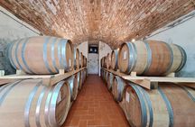 Wine & Oil Tasting Experience