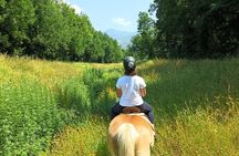 2 hour horseback ride for experts in Valgraziosa (Pisa)