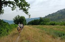 2 hour horseback ride for experts in Valgraziosa (Pisa)