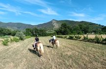 2 hour horseback ride for experts in Valgraziosa (Pisa)