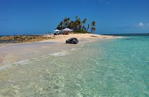 HALF DAY Swiming Pigs and Sharks Tour (Nassau to Exuma by Plane) 