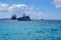 HALF DAY Swiming Pigs and Sharks Tour (Nassau to Exuma by Plane) 