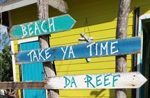 HALF DAY Swiming Pigs and Sharks Tour (Nassau to Exuma by Plane) 