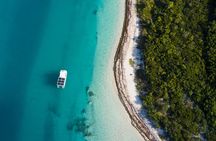 Biologist Owned & Operated: Dolphin Watching & Guided Snorkeling