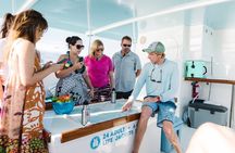 Biologist Owned & Operated: Dolphin Watching & Guided Snorkeling