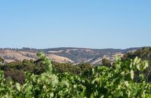 Barossa Bespoke Tours-A private, wine tour to the Barossa Valley