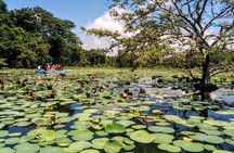 Kandy - Sigiriya Full-Day Private Tour