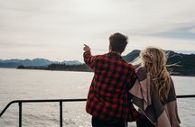 Alaska Wildlife Tour in Kachemak Bay