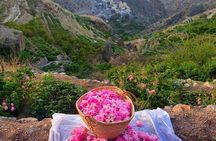 Damascus Roses - Discover the secrets of Al Jabal Al Akhdhar