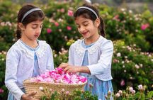 Damascus Roses - Discover the secrets of Al Jabal Al Akhdhar
