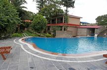 Chitwan Jungle Safari All-Inclusive Package from Kathmandu