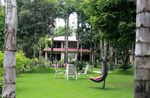Chitwan Jungle Safari All-Inclusive Package from Kathmandu