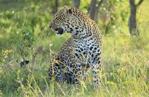 3-Day Masai Mara Group Joining Safari Adventure