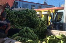 Cultural Safari: Dominican Life and Chavón River