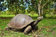 Galapagos Multisport Expedition 8 days