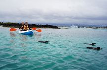 Galapagos Multisport Expedition 8 days