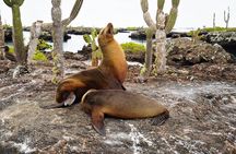 Galapagos Multisport Expedition 8 days